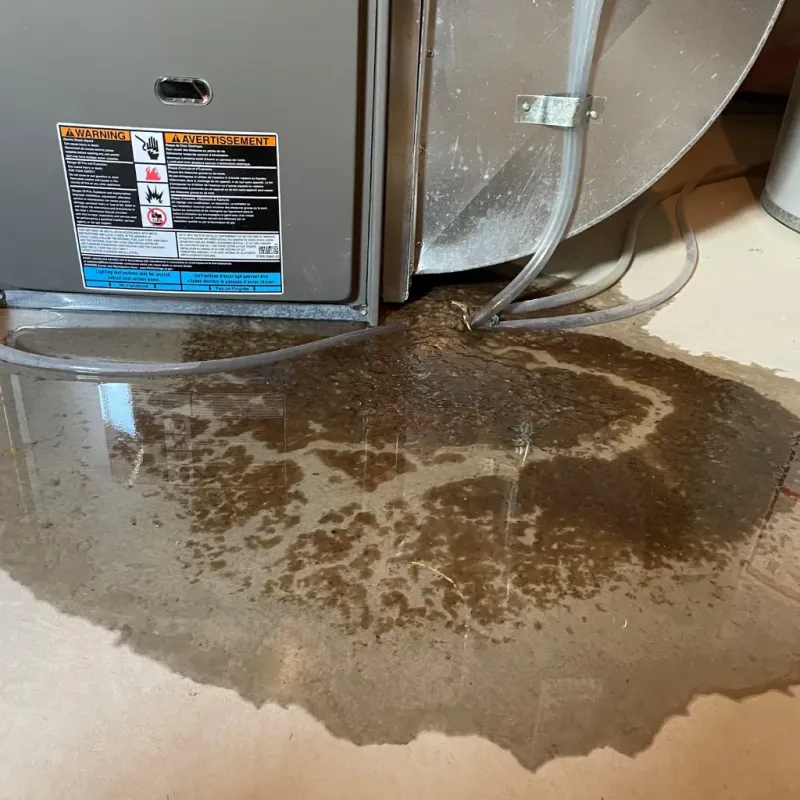 Appliance Leak Cleanup in Bedford, NY